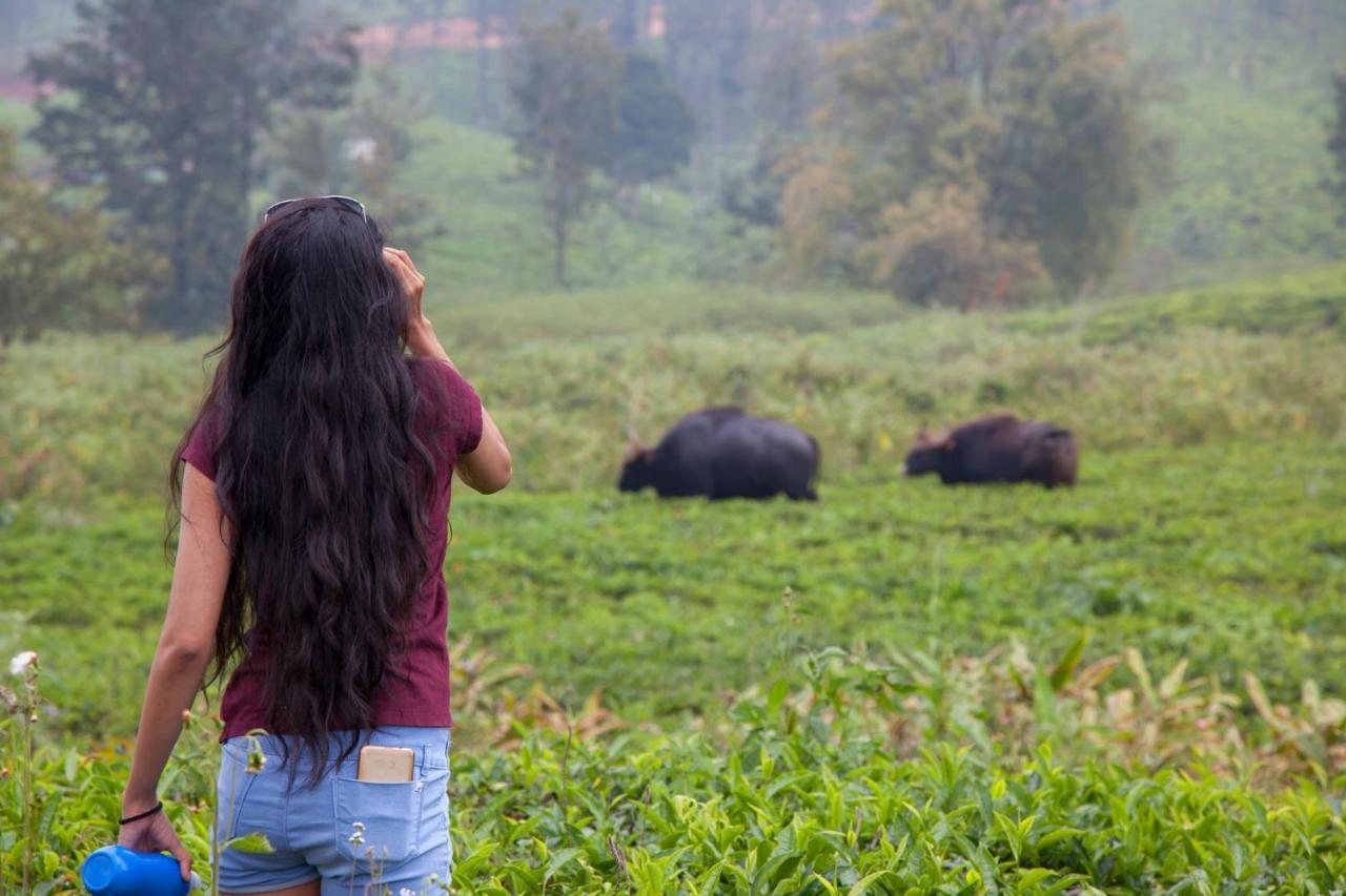 Hotel The Realm Coonoor Esterno foto